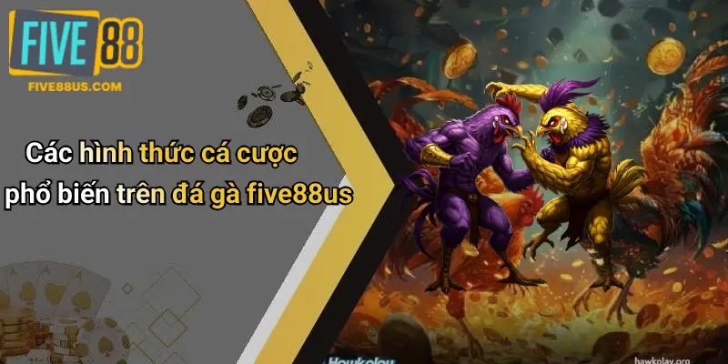 Các hình thức cá cược phổ biến trên đá gà five88us