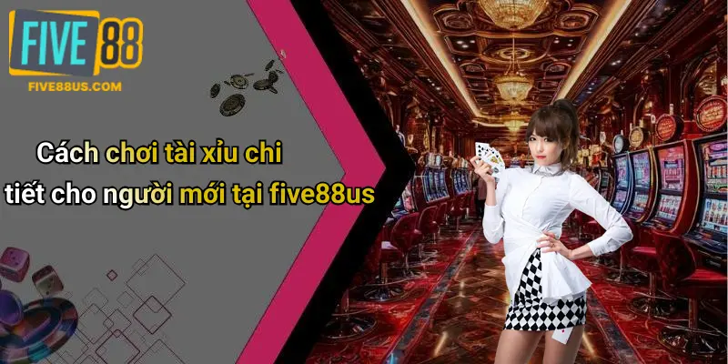 Cách chơi tài xỉu chi tiết cho người mới tại five88us