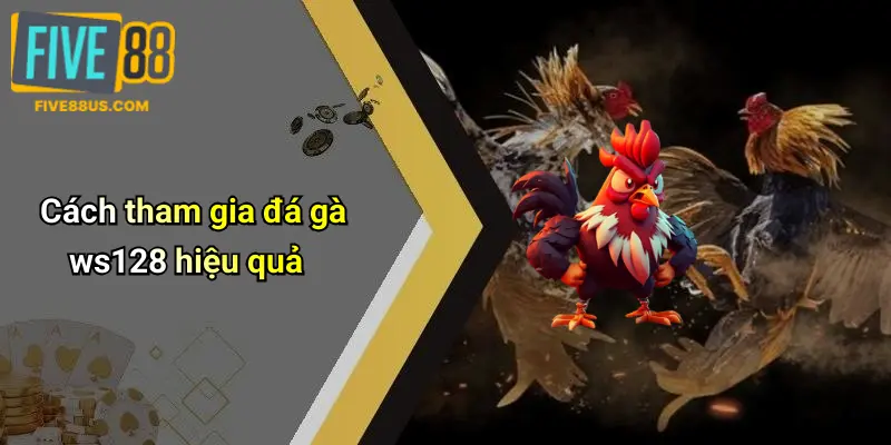 Cách tham gia đá gà ws128 hiệu quả
