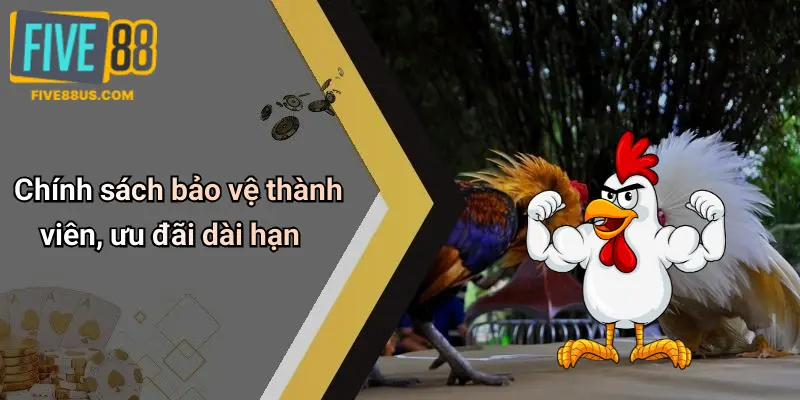 Chính sách bảo vệ thành viên, ưu đãi dài hạn
