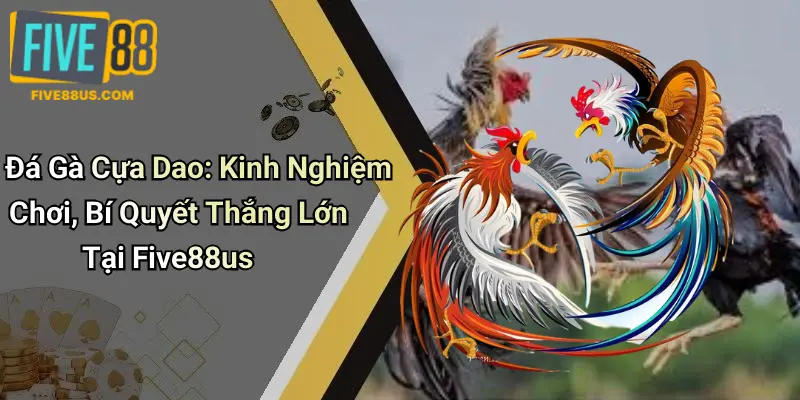 Đá Gà Cựa Dao: Kinh Nghiệm Chơi, Bí Quyết Thắng Lớn Tại Five88us