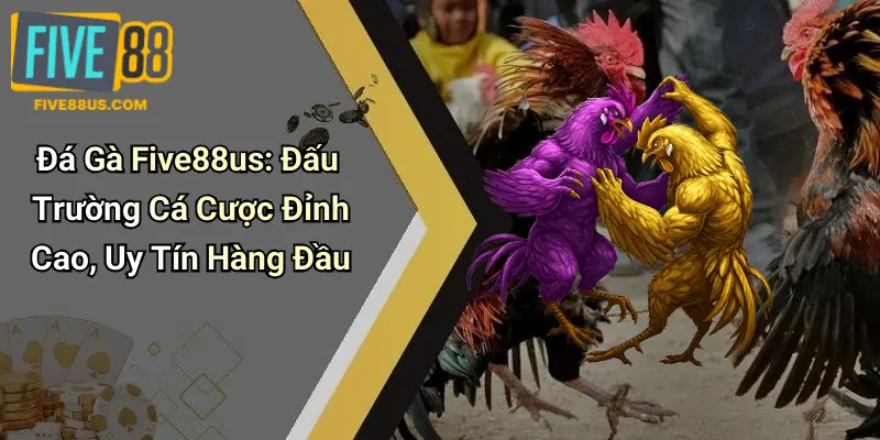 Đá Gà Five88us: Đấu Trường Cá Cược Đỉnh Cao, Uy Tín Hàng Đầu