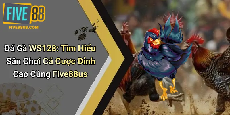 Đá Gà WS128: Tìm Hiểu Sân Chơi Cá Cược Đỉnh Cao Cùng Five88us