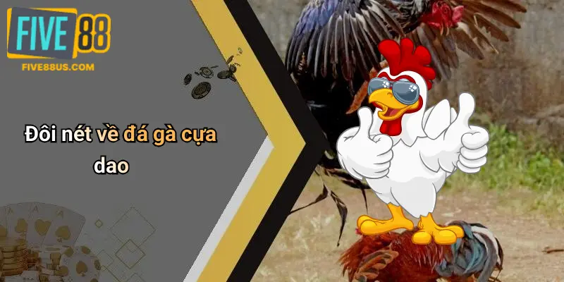 Đôi nét về đá gà cựa dao