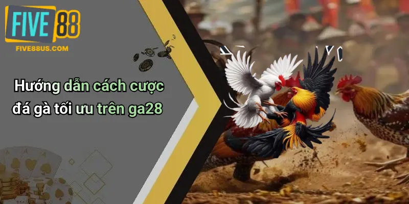 Hướng dẫn cách cược đá gà tối ưu trên ga28