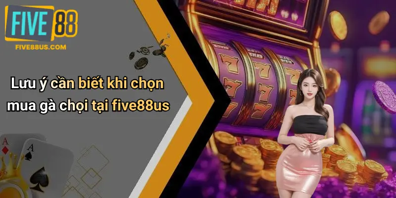 Lưu ý cần biết khi chọn mua gà chọi tại five88us