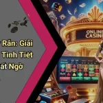Ngủ Mơ Thấy Rắn: Giải Mã Ẩn Số Và Tình Tiết Biến Hóa Bất Ngờ
