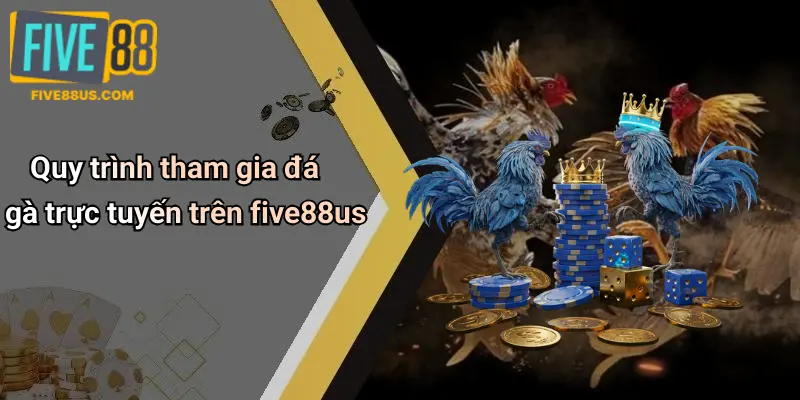 Quy trình tham gia đá gà trực tuyến trên five88us