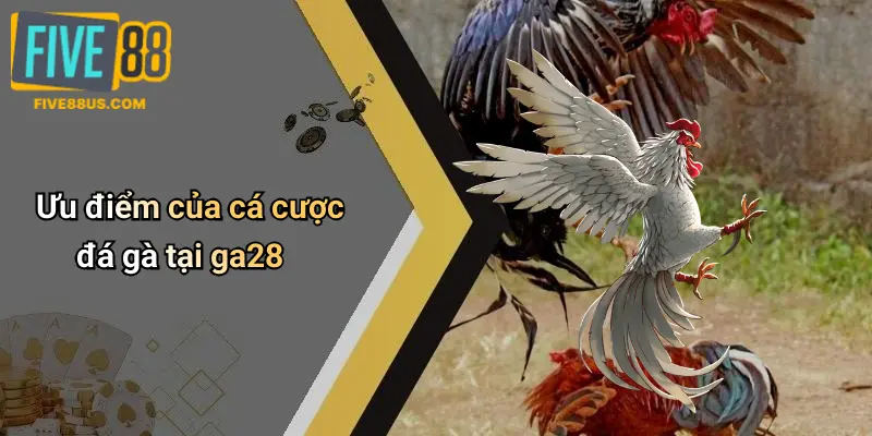 Ưu điểm của cá cược đá gà tại ga28