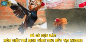 đá gà cựa sắt
