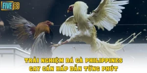 Đá Gà Philippines