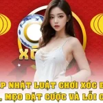 luật chơi xóc dĩa