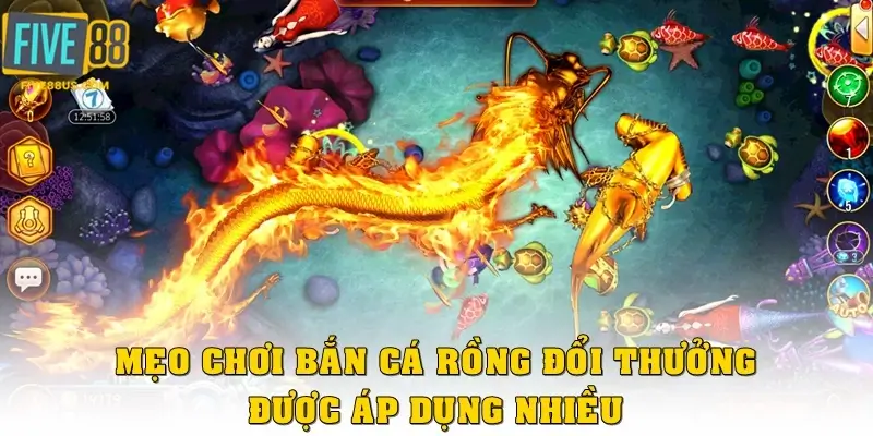 Mẹo chơi bắn cá rồng đổi thưởng được áp dụng nhiều